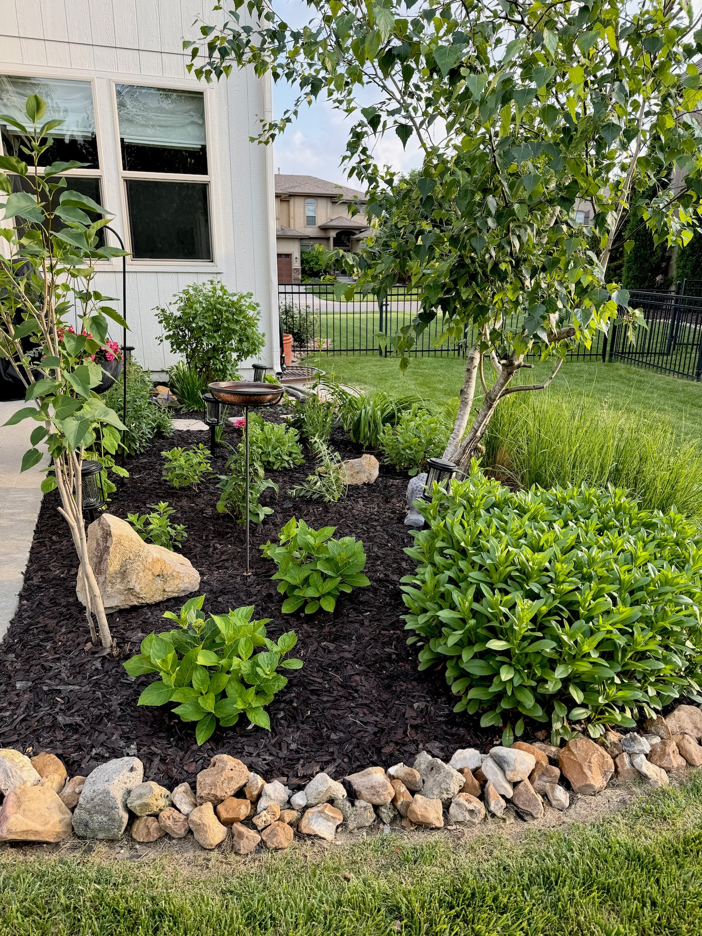 Landscaping project